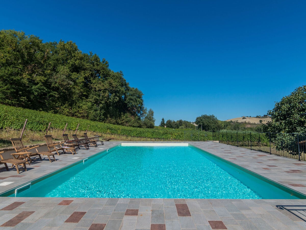 Casale Vigneto - Pool 12 x 6 - Tiefe 1,45