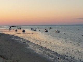 Ferienhaus Le Bois-Plage-en-Ré Umgebung 26