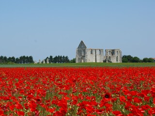 Casa per le vacanze La Flotte Ambiente 22