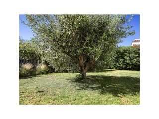 Casa per le vacanze Saint-Clément-des-Baleines Registrazione all'aperto 5