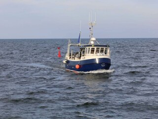 Maison de vacances Als  11