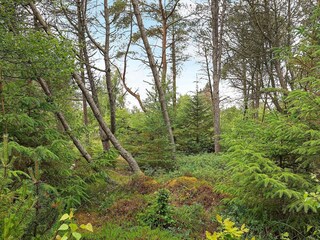 Casa per le vacanze Skiveren  38