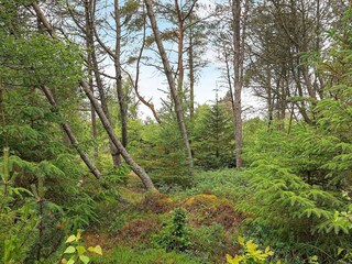 Casa per le vacanze Skiveren  35