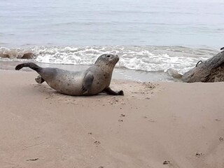 Casa per le vacanze Skiveren  21
