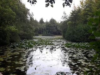 Holiday house Skiveren  4