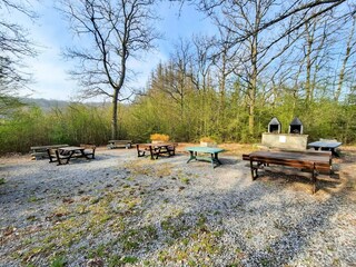 Holiday house Somme-Leuze Environment 28