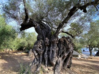 Casa de vacaciones Orgiva Grabación al aire libre 3