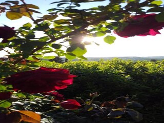 Vakantiehuis Capraia e Limite Omgeving 33