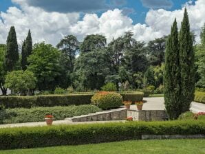 Encantadora casa de vacaciones en Reggello con piscina - Vecchietto - image1