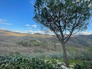 Maison de vacances Castiglion Fiorentino Environnement 37