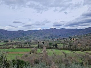 Vakantiehuis Castiglion Fiorentino Omgeving 28