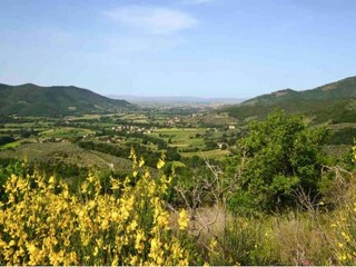 Ferienhaus Castiglion Fiorentino Umgebung 29