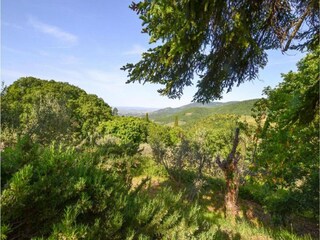 Vakantiehuis Castiglion Fiorentino Omgeving 30