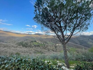 Casa de vacaciones Castiglion Fiorentino Entorno 24