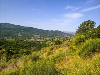 Casa de vacaciones Castiglion Fiorentino Entorno 25
