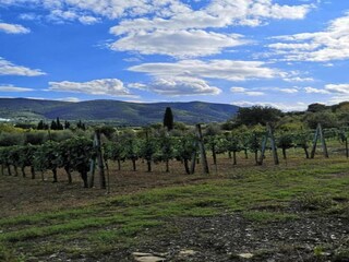 Vakantiehuis Castiglion Fiorentino Omgeving 36