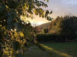 Vakantiehuis Castiglion Fiorentino Omgeving 26