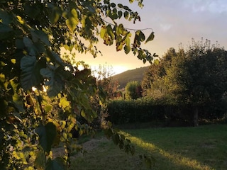 Vakantiehuis Castiglion Fiorentino Omgeving 29