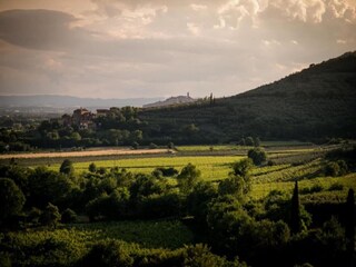 Vakantiehuis Castiglion Fiorentino Omgeving 32