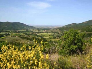 Casa de vacaciones Castiglion Fiorentino Entorno 25