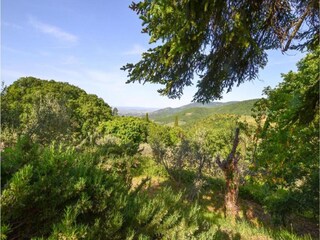 Maison de vacances Castiglion Fiorentino Environnement 29