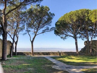 Casa de vacaciones Castiglion Fiorentino Entorno 22