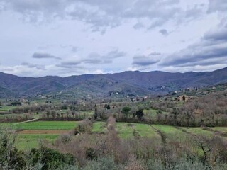 Casa de vacaciones Castiglion Fiorentino Entorno 37