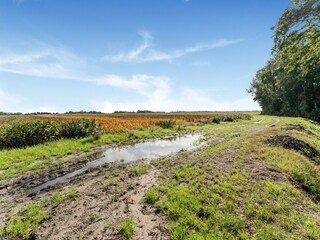 Appartement Sint Maartensvlotbrug Omgeving 34