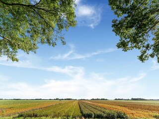 Appartamento Sint Maartensvlotbrug Ambiente 35