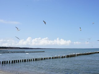 Ostsee