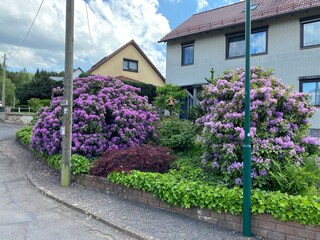 Appartement Emsetal Buitenaudio-opname 3