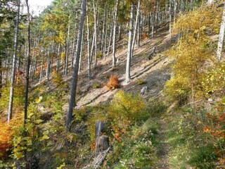 Apartamento Emsetal Entorno 26