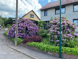 Apartment Emsetal Außenaufnahme 3