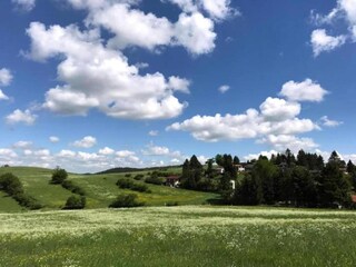 Apartamento Emsetal Entorno 27