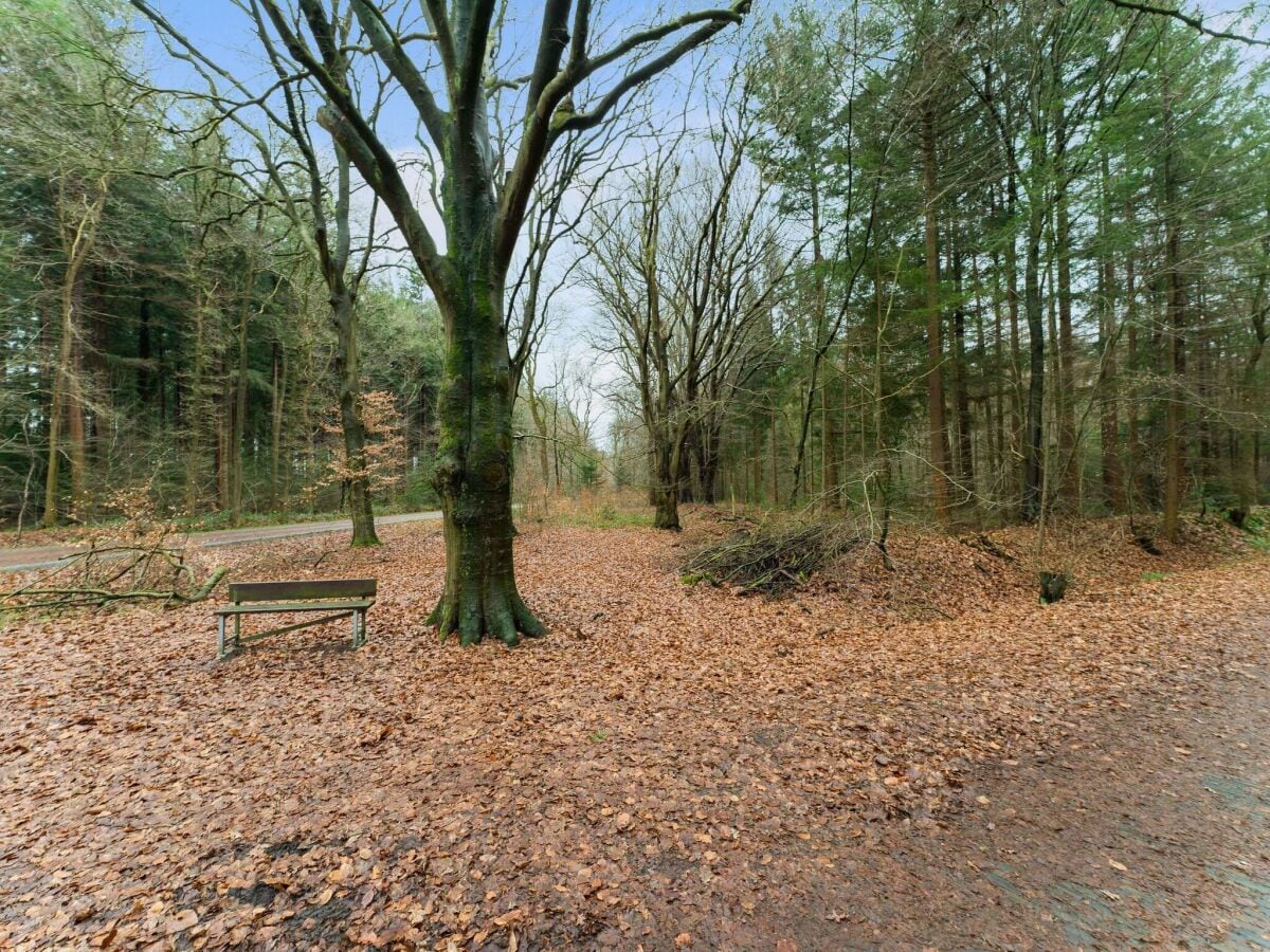 Casa de vacaciones Noordenveld Grabación al aire libre 1