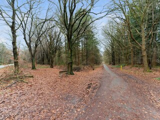 Vakantiehuis Noordenveld Buitenaudio-opname 3