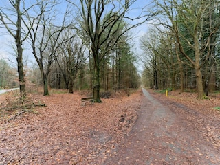 Ferienhaus Noordenveld Außenaufnahme 9