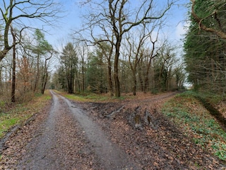 Casa per le vacanze Noordenveld Registrazione all'aperto 9
