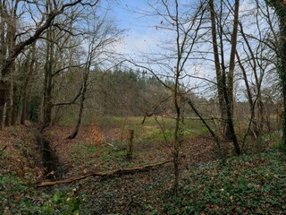 Vakantiehuis Noordenveld Buitenaudio-opname 13