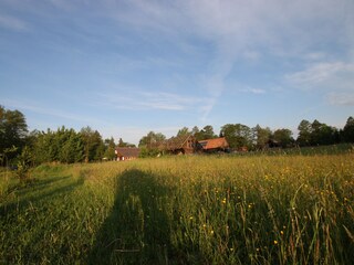 Unser Grundstück umfasst 40.000 m²