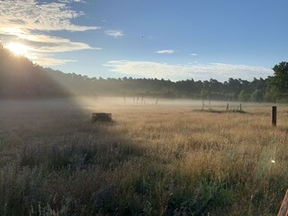 Holiday house Zartwitz Environment 33