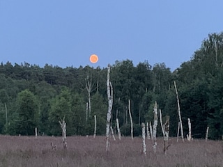 Holiday house Zartwitz Environment 36