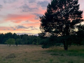 Holiday house Zartwitz Environment 37