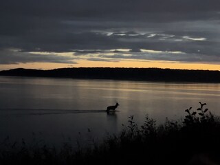 Holiday house Zartwitz Environment 39