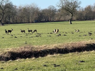 Unsere Täglichen Gäste