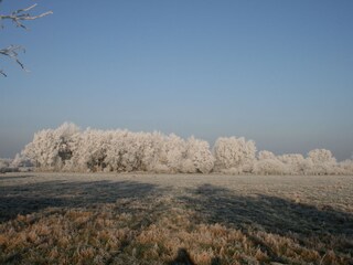 Unser Moor im Winter