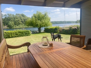 Hunde sind herzlich willkommen
