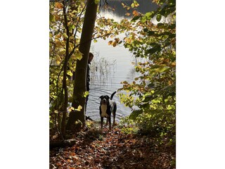 Holiday house Groß Zecher Environment 40