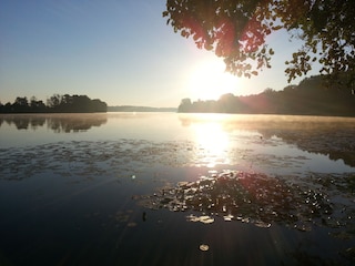Morgens im Hochsommer