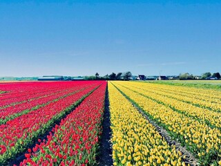 Vakantiehuis Welt Omgeving 15